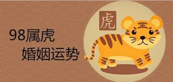 属虎的今年运势和财运怎么样
