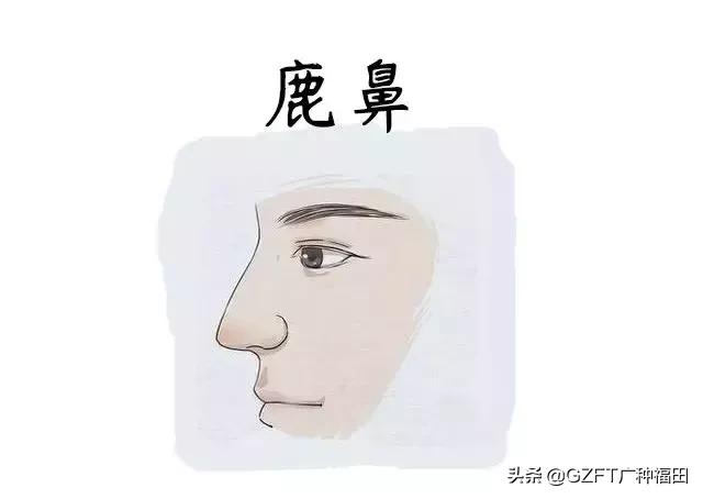 山下火命的人相貌如何