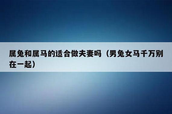 属兔和属马的婚姻会长久吗