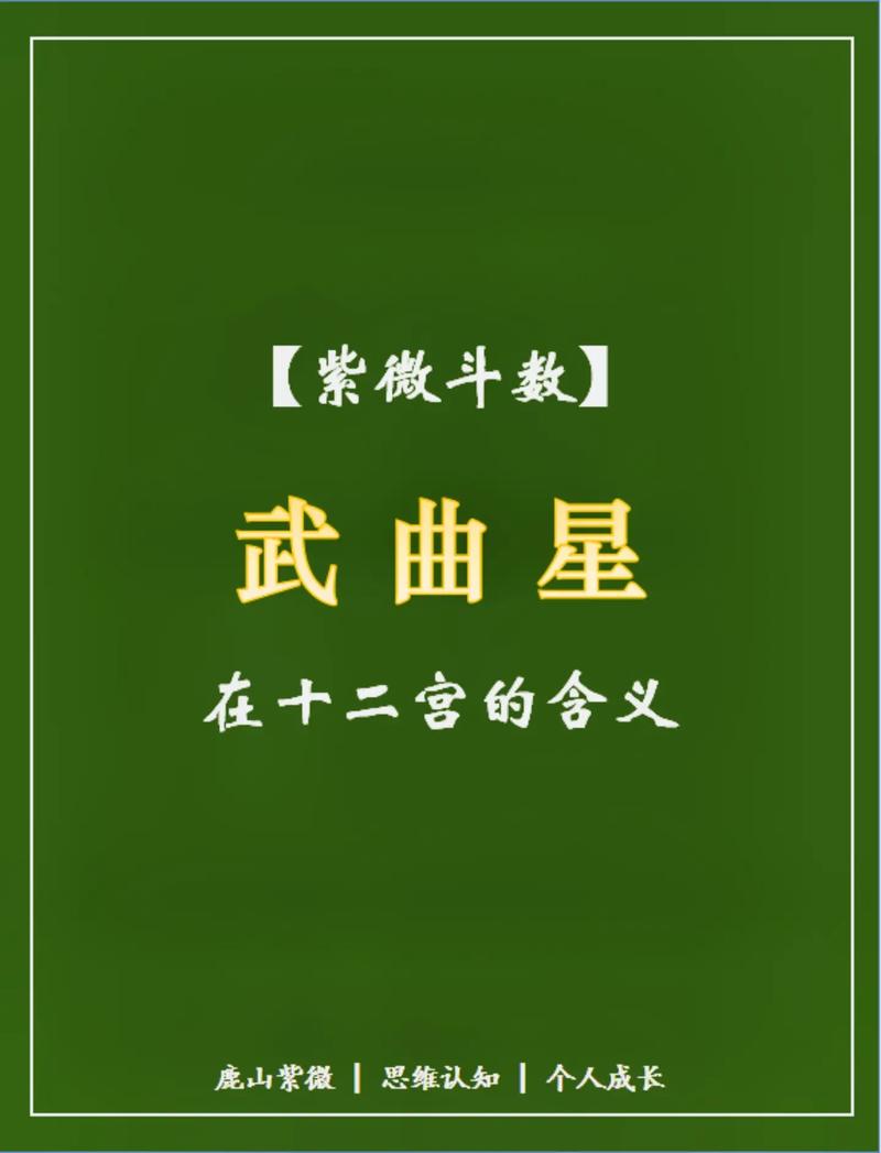 武曲星入十二宫的基本意义