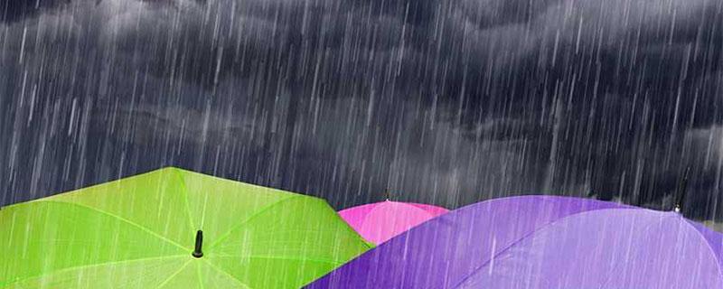 梦见下雨佛滔