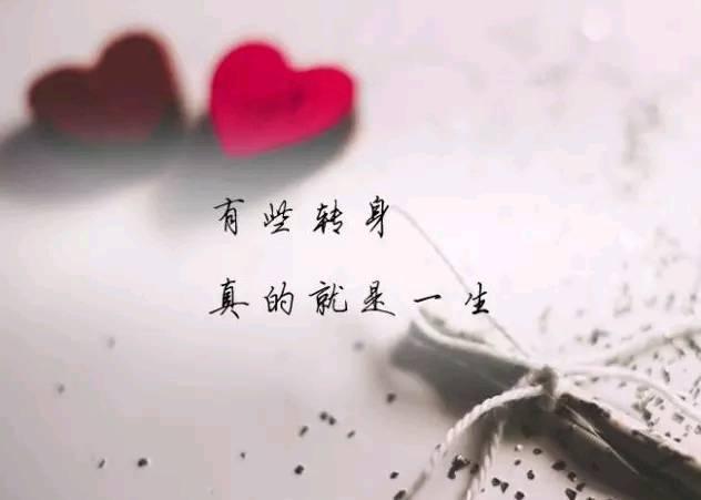 属猪人会用什么方式向心爱的人告白