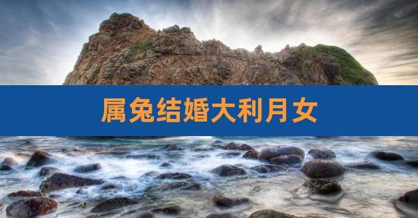 2019年属兔结婚大利月