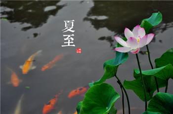 2029年夏至是几月几号,2029年什么时候夏至
