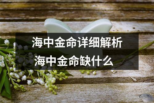 海中金命解析,海中金是什么命