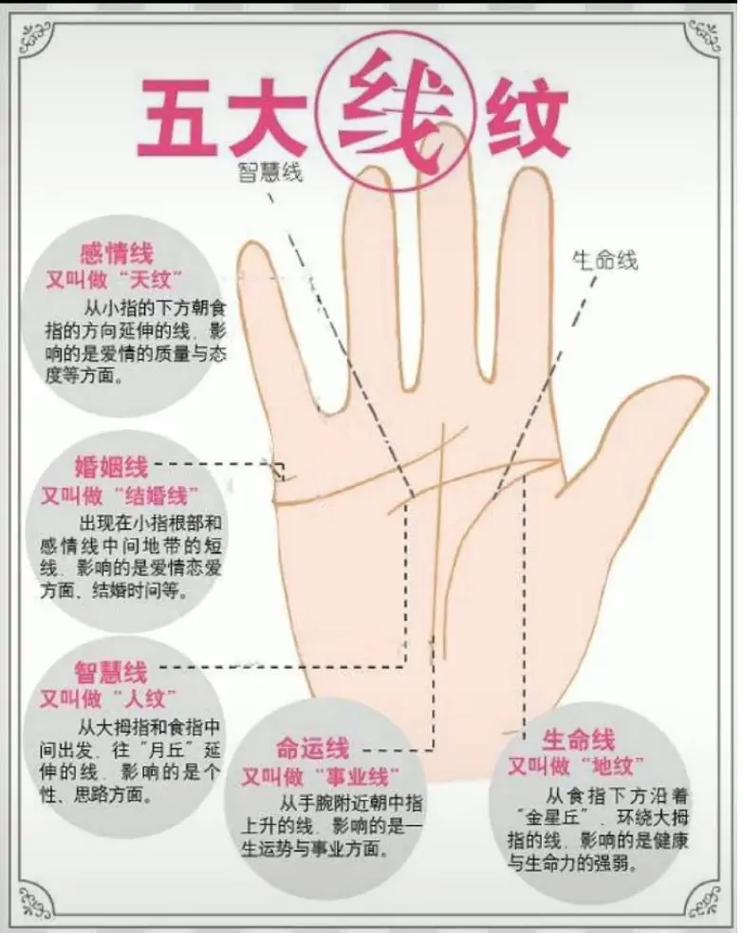 怎么看手相手掌财运好不好揭秘