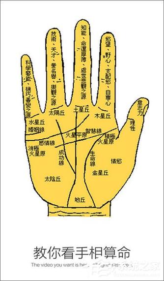 男人左手手纹算命图解精准介绍