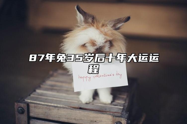 1987年属兔35岁运气