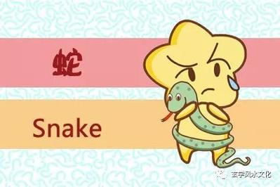 那些勤奋努力的生肖女