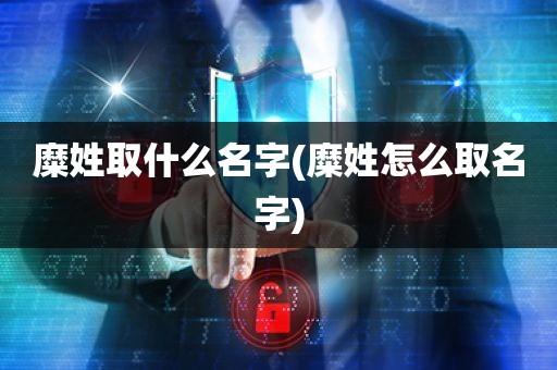 姓糜宝宝起名要求带武