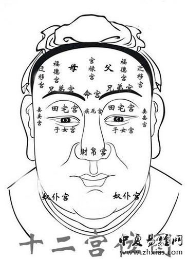 做事从来只看兴致的面相