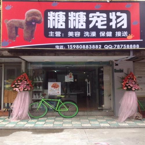 吸人眼球的宠物店名字