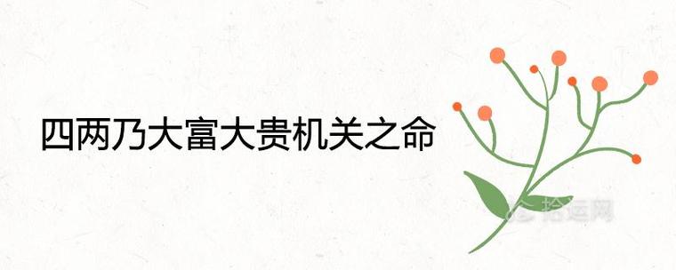四两乃大富大贵机关之命是真的吗