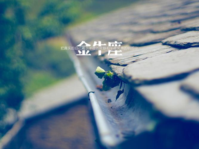 金牛座男人伤心的表现