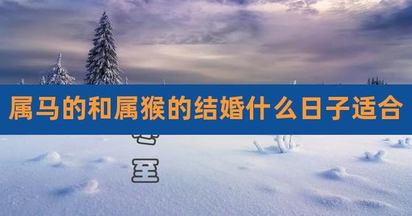 2021年属马和属猴人适合结婚吗
