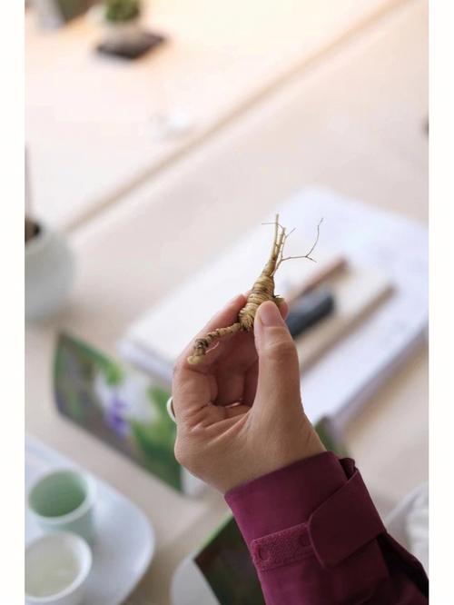 测你是否愿意抛开凡尘俗世隐居山林?