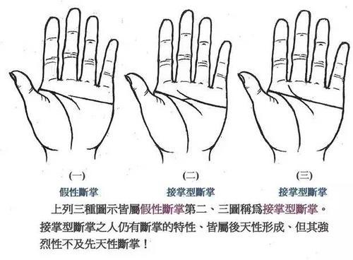 通贯掌图片介绍,真实的通贯掌模样
