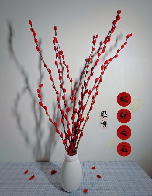 家里最旺财的十种花