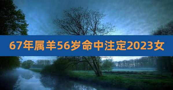 属羊67年寿命劫数