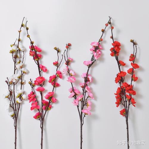 家里种桃花风水好吗