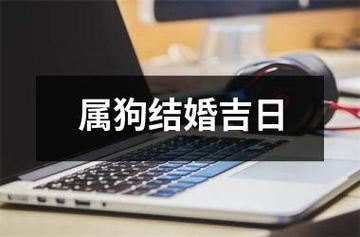 属狗的人2020年农历十二月适合结婚的日子