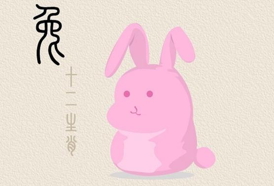 属兔最偏爱的音乐类型?