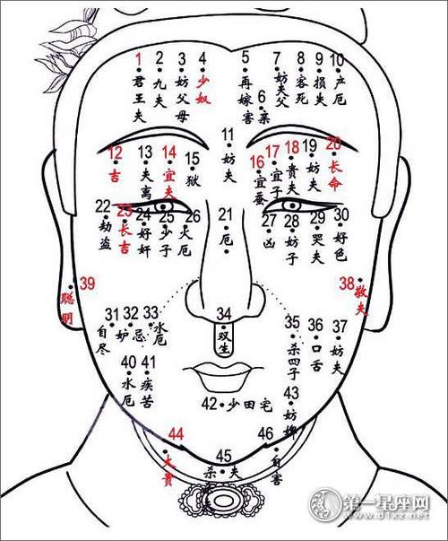 水险痣是什么意思