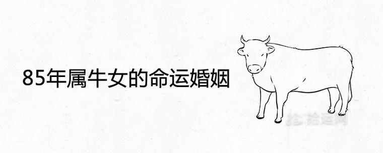 属牛女人的婚姻与命运