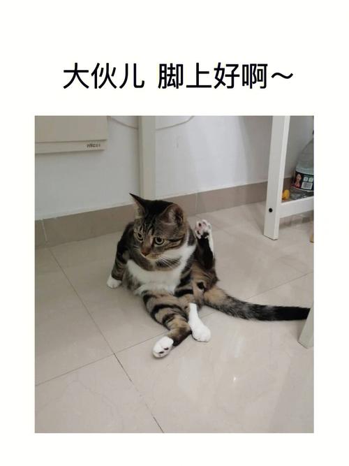 郑博士:哪些好奇行为会害死“猫”?