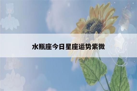 科技紫微水瓶座今日运势