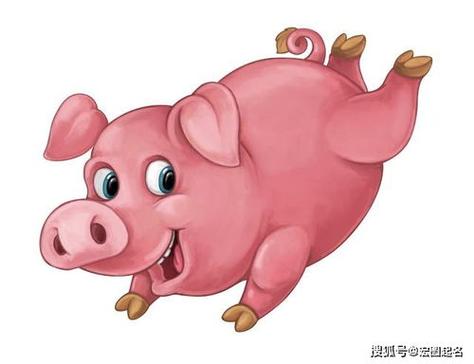 生肖猪男喜欢哪种女人