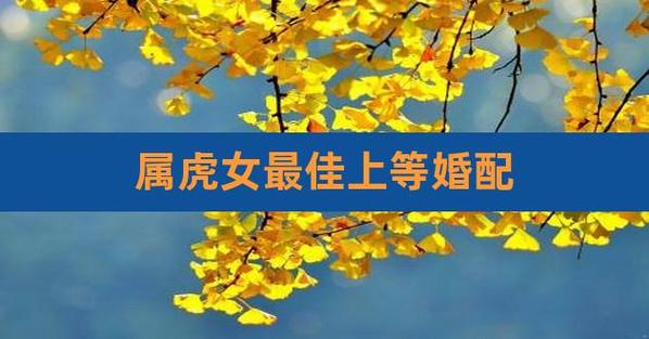 属虎的女孩上等婚配