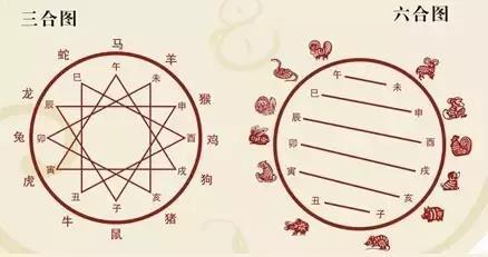 属兔的六合贵人生肖是什么?属兔2019年生肖吉位位置?