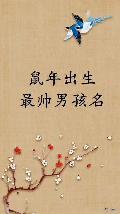 鼠年独特新颖的男孩名字_