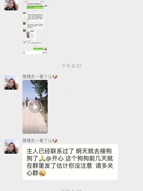 女人梦见狗失而复得有什么征兆