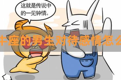 金牛男对于婚外情持有哪些态度
