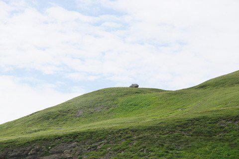 梦见山坡周公解梦,梦见山坡是什么意思?