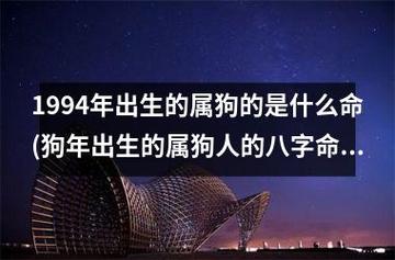 不同狗年出生的人是什么狗命