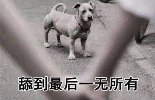梦见讨好 巴结是什么意思