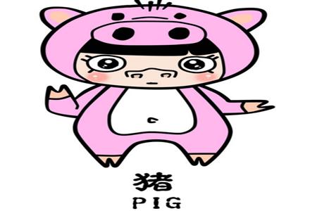 12生肖中的颜值担当——猪
