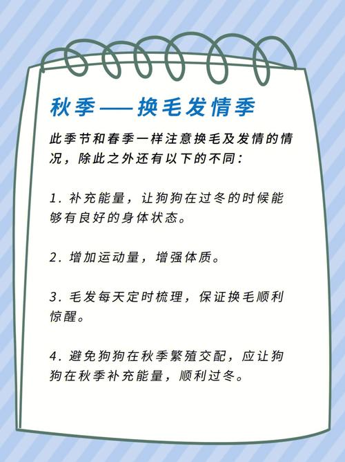 属狗女做起什么家务最得心应手