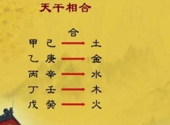 解析合八字