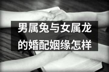 男属龙和女属兔的婚姻相配吗
