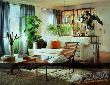 哪些风水摆设是客厅风水大忌