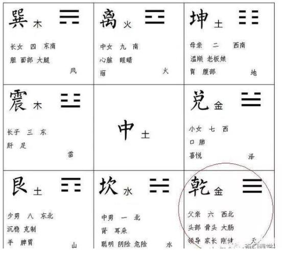 紫微斗数和梅花易数有联系吗