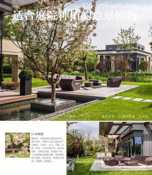 庭院风水和植物有关　可以种什么树