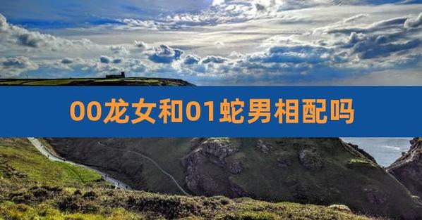 00年出生找属啥的般配