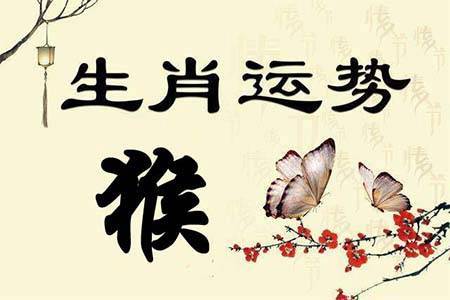 属猴人今后十年大运