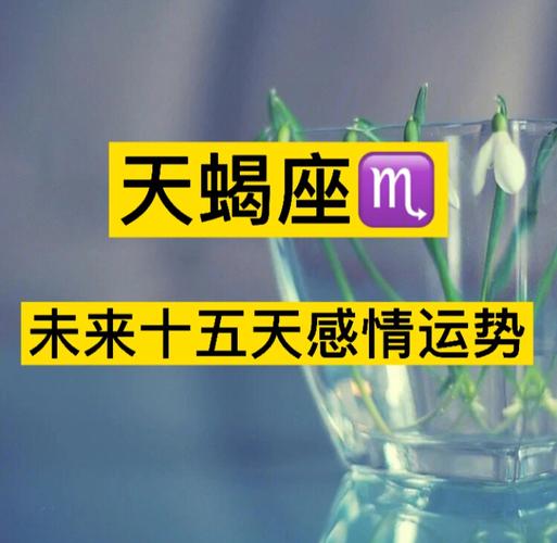 天蝎座最在意哪些事？