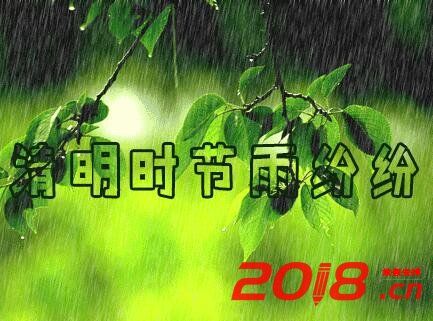 2019年清明节出生的男孩命运如何?